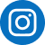 Ins